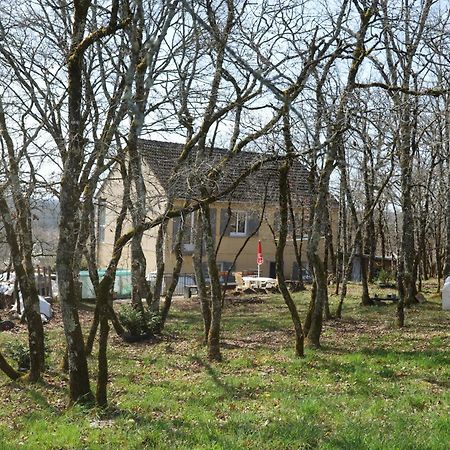 Maison Au Calme Sur Le Causse Correzien, Entre Quercy Et Perigord Villa Saint-Cernin-de-Larche Luaran gambar