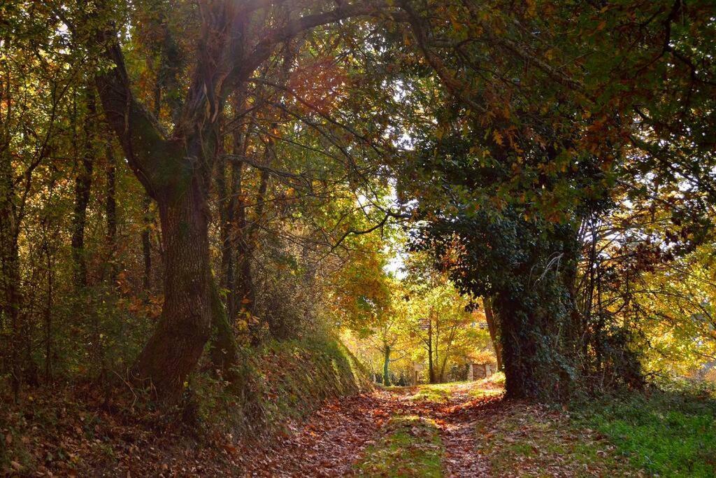 Maison Au Calme Sur Le Causse Correzien, Entre Quercy Et Perigord Villa Saint-Cernin-de-Larche Luaran gambar